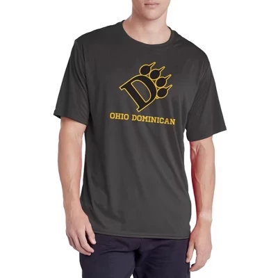 Мужская спортивная футболка NCAA Ohio Dominican, серая
