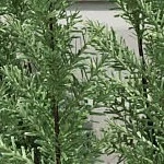 Круглый обеденный стол и стулья из 5 предметов Everett Patio в деревенском стиле из дерева акации с подушками коричневого / тикового / кремового цвета