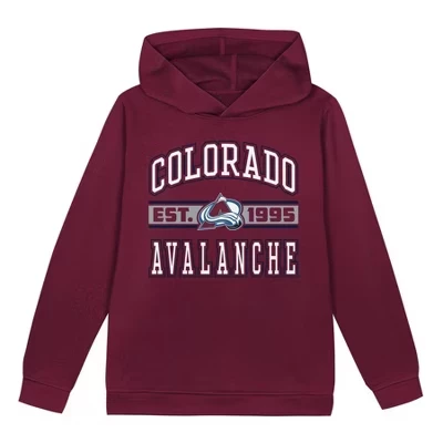 Разноцветная толстовка с капюшоном для маленьких мальчиков Colorado Avalanche