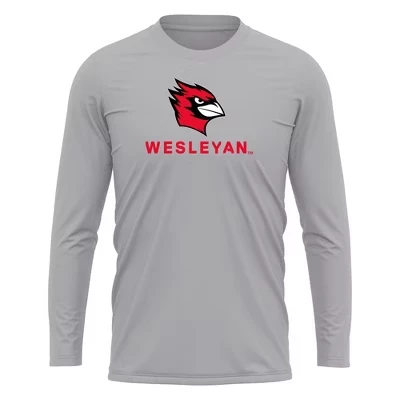 Мужской лонгслив NCAA Wesleyan University, серый меланж