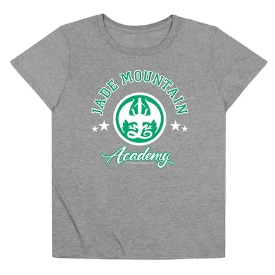 Женская свободная футболка из джерси Triblend Wings Of Fire Jade Mountain Academy athletic heather