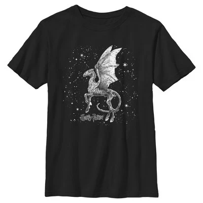 Мужская черно-белая футболка Thestral черного цвета