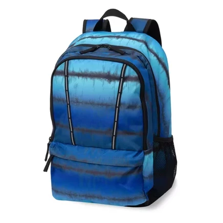 paradise blue stripe
