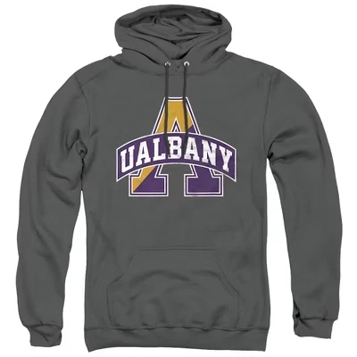 Унисекс худи NCAA Albany, состаренный логотип, угольно-серое