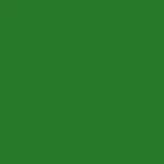 Мужская футболка с логотипом сцены драки kelly green