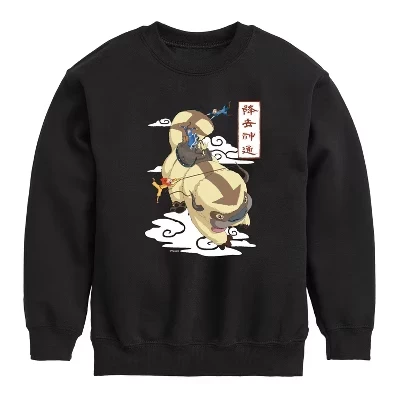 Флисовая толстовка Appa Flying Graphic с длинным рукавом для мальчиков - Аватар - Последний Маг Воздуха, черный