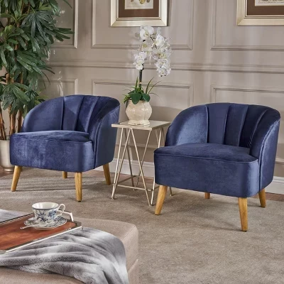 Набор из 2 кресел Christopher Knight Home Amaia, синие