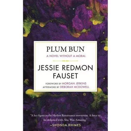 Книга «Plum Bun», Джесси Редмон Фосет, мягкая обложка