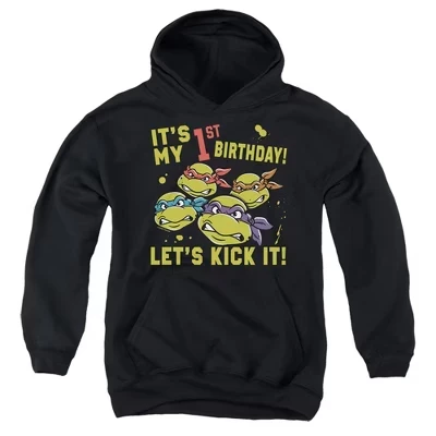 Мужская толстовка TMNT 
