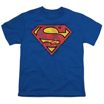 Футболка для мальчиков Superman Action Shield, синяя