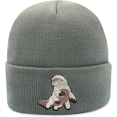 Beanie for Kids and Adults Winter Hat – Licensed  Appa Beanie (One Size) grey
