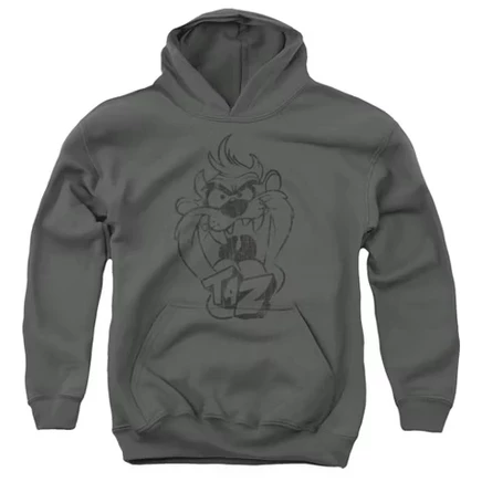 Худи для мальчиков Looney Tunes Faded Taz, темно-серое