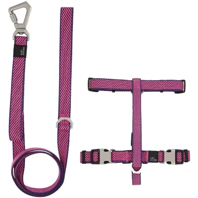Поводок и шлейка для собак Escapade Outdoor Series 2-в-1, LG, сине-розовый