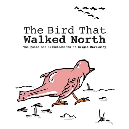 Книга The Bird That Walked North, мягкая обложка