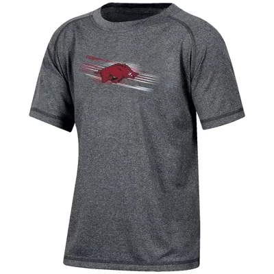 Футболка для мальчиков NCAA Arkansas Razorbacks, серая