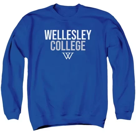Унисекс свитшот Campus Lab Wellesley College, ярко-синий