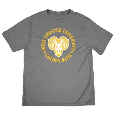 Футболка для мальчиков NCAA West Chester University, серая