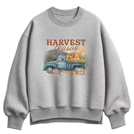 Женский свитшот Instant Message Harvest Season, серый меланж