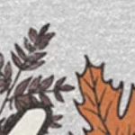 Женская футболка Fender Fall Leaves, серый меланж
