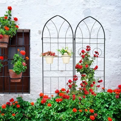 Garden Trellis, Plant Stand Outdoor with 2 Pot Racks, Metal Galvanized Pipe, Rust-Proof Metal Garden Bracket for , Grapes, Blackberries black