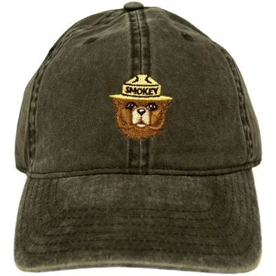 Унисекс бейсболка Fifth Sun Smokey the Bear с вышитым логотипом, разноцветная