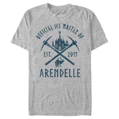Мужская футболка Frozen Ice Master of Arendelle, серая