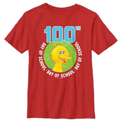 Футболка для мальчика Big Bird 