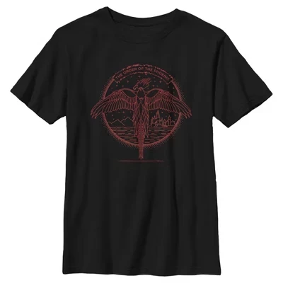 Мужская футболка Order of Phoenix Flight для мальчиков, черная