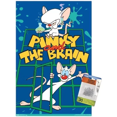 Pinky And The Brain - Key Art Настенный плакат без рамки с отпечатками прозрачных булавок в комплекте