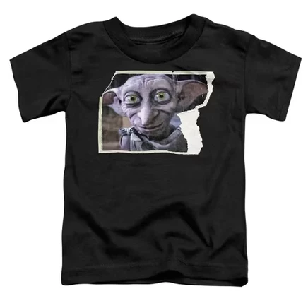 Футболка для мальчиков Harry Potter Dobby, черная