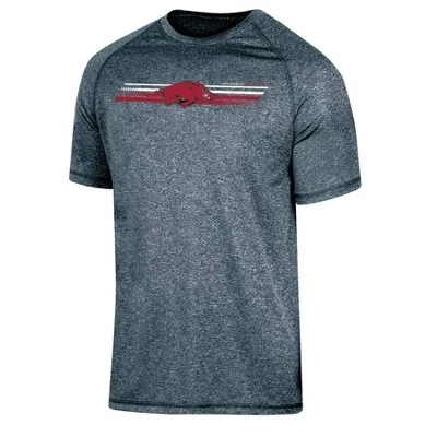 Мужская футболка NCAA Arkansas Razorbacks, серая