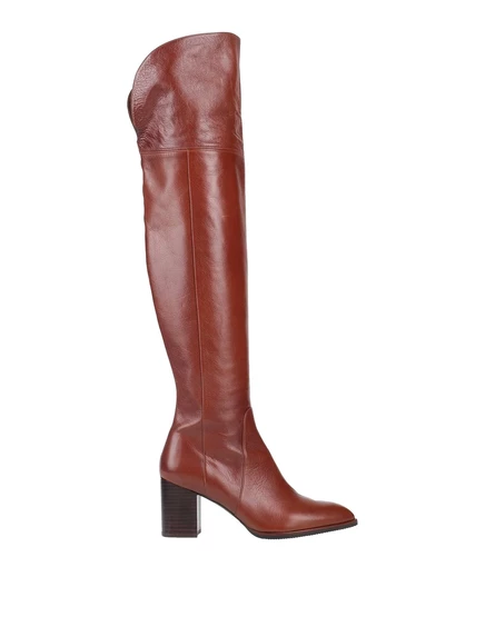 Женские сапоги Stuart Weitzman Lorenz_SP, коричневые