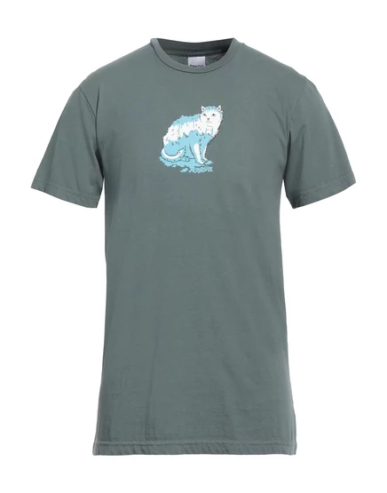 Мужская футболка RIPNDIP JADR с принтом, серая