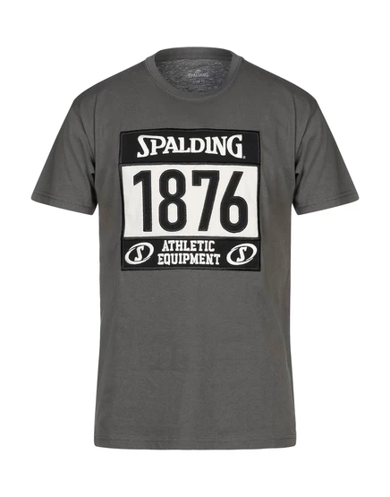 Мужская футболка Spalding Papermag, графитовая