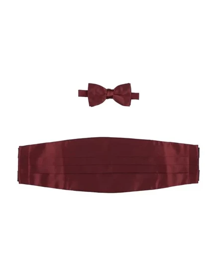 ASCOT Галстуки и бабочки кирпичный