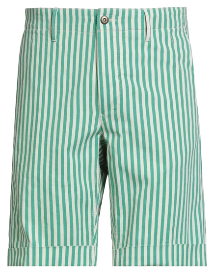INCOTEX Shorts & Bermuda Shorts зелёный