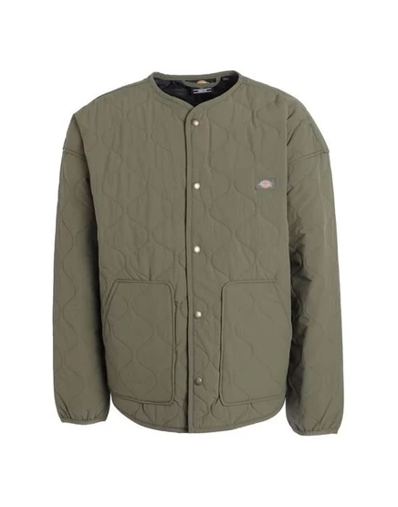 DICKIES Куртки и пиджаки зелёный милитари