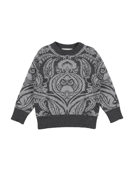 Мужской джемпер Etro, серый