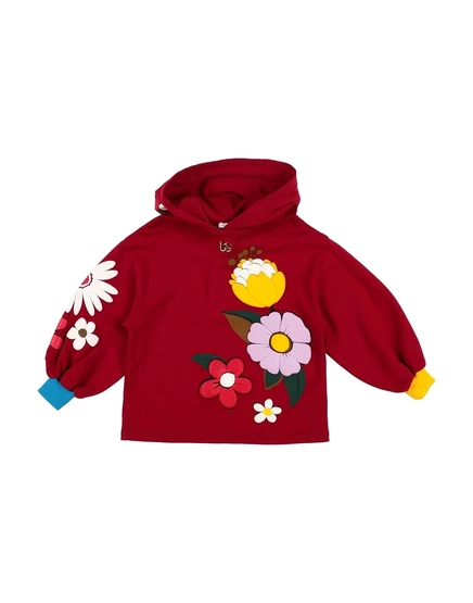 Женское худи Dolce & Gabbana Promotion Junior, бордовое