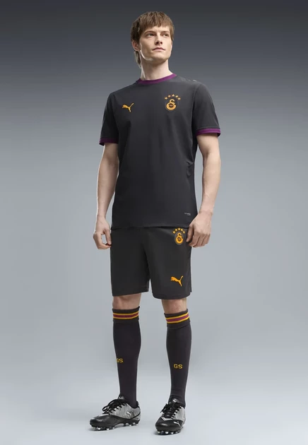 Мужские шорты Puma Galatasaray S.K. 26/27, серо-сливовые