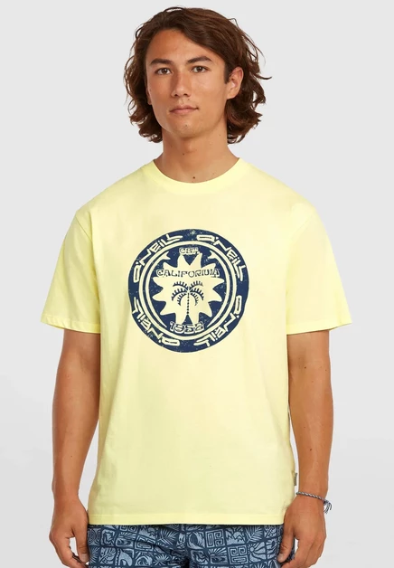 Мужская футболка O'Neill Musthave Graphic, зеленая