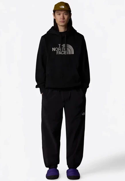 The North Face DREW PEAK REGULAR HOODIE - Fleece jumper - tnflghtgryhtr newtaupegrn wht tnf black