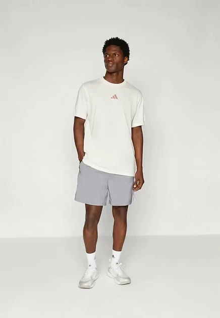 Мужские шорты adidas Sportswear 3S Chelsea B, серые/белые