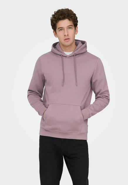 Only & Sons ONSCONNOR LIFE REG SWEAT HOODIE NOOS - Hoodie - beluga twilight mauve