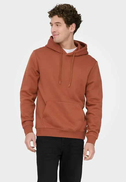 Only & Sons ONSCONNOR LIFE REG SWEAT HOODIE NOOS - Hoodie - beluga rustic brown
