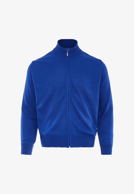 Мужской кардиган Aleko на молнии, синий