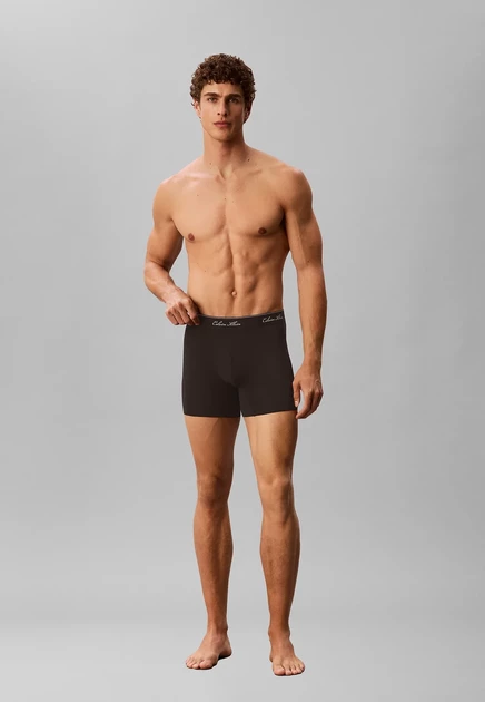 Мужские трусы-боксеры Calvin Klein 3 шт., черно-серые