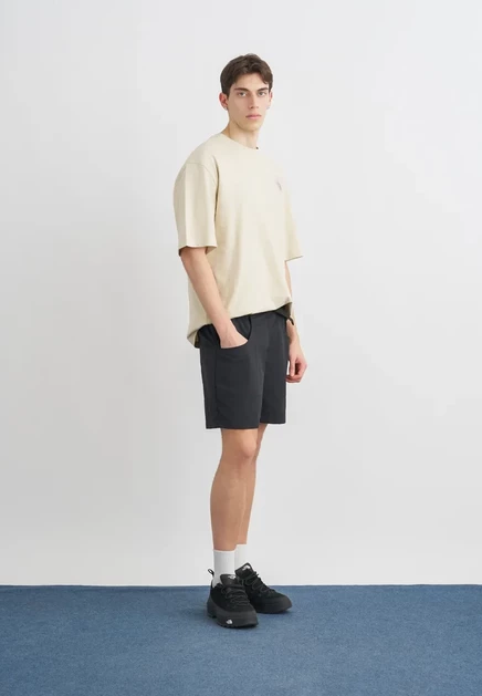 Мужская футболка The North Face Sun Oversize, песочная