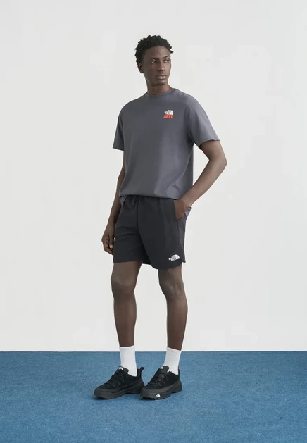 Мужская футболка The North Face с принтом, серая