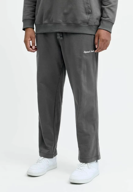 Мужские спортивные брюки Jack & Jones Plus Size, серые